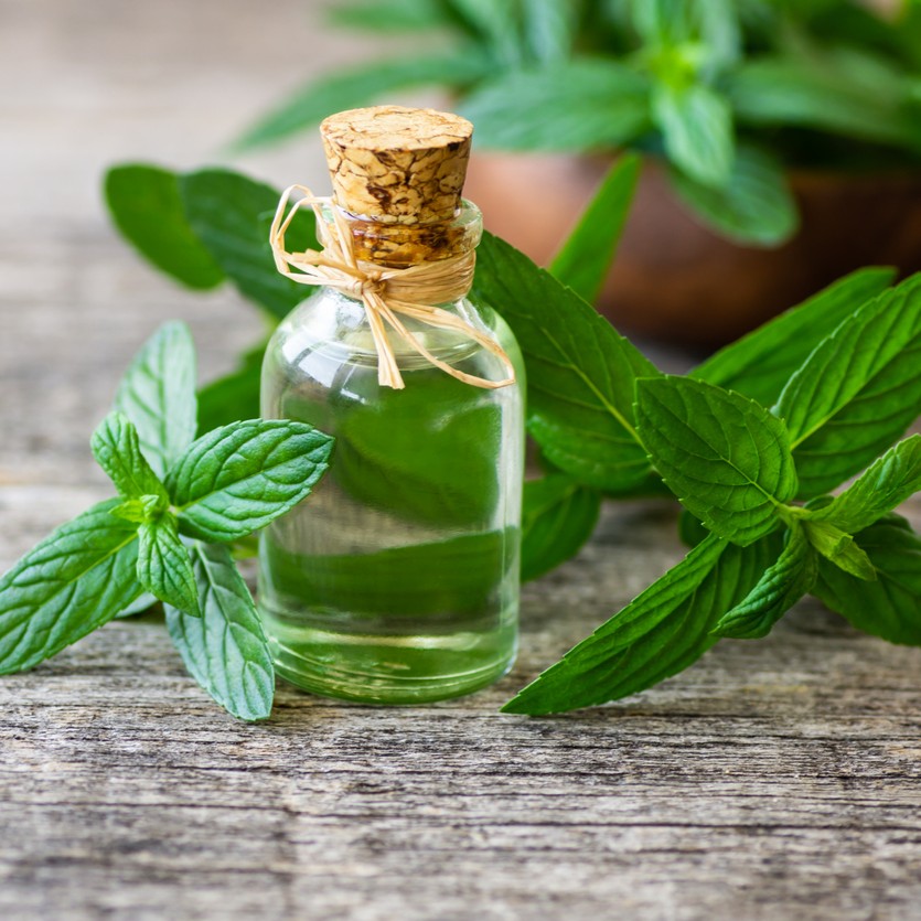 Picture of Bottle of Cooling Oil with Peppermint Leaves in Foreground and Background
