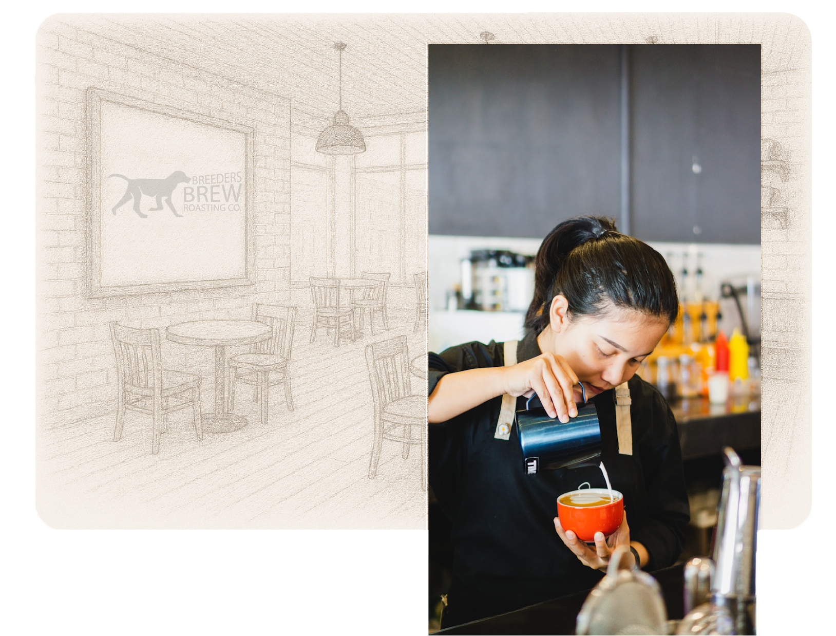photo of sara infront of a skecth of breeders brew cafe pouring coffee.